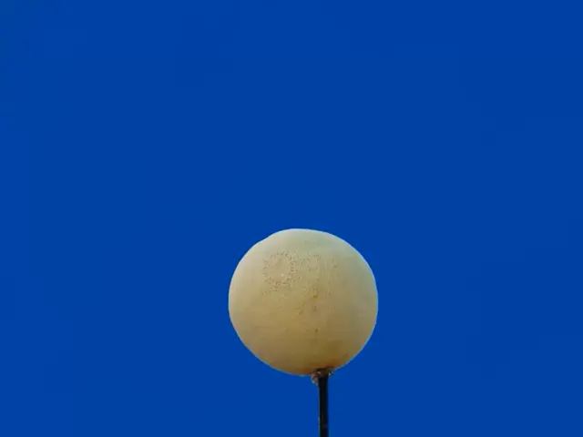 The People vs. Rubber Bullets Featured Image