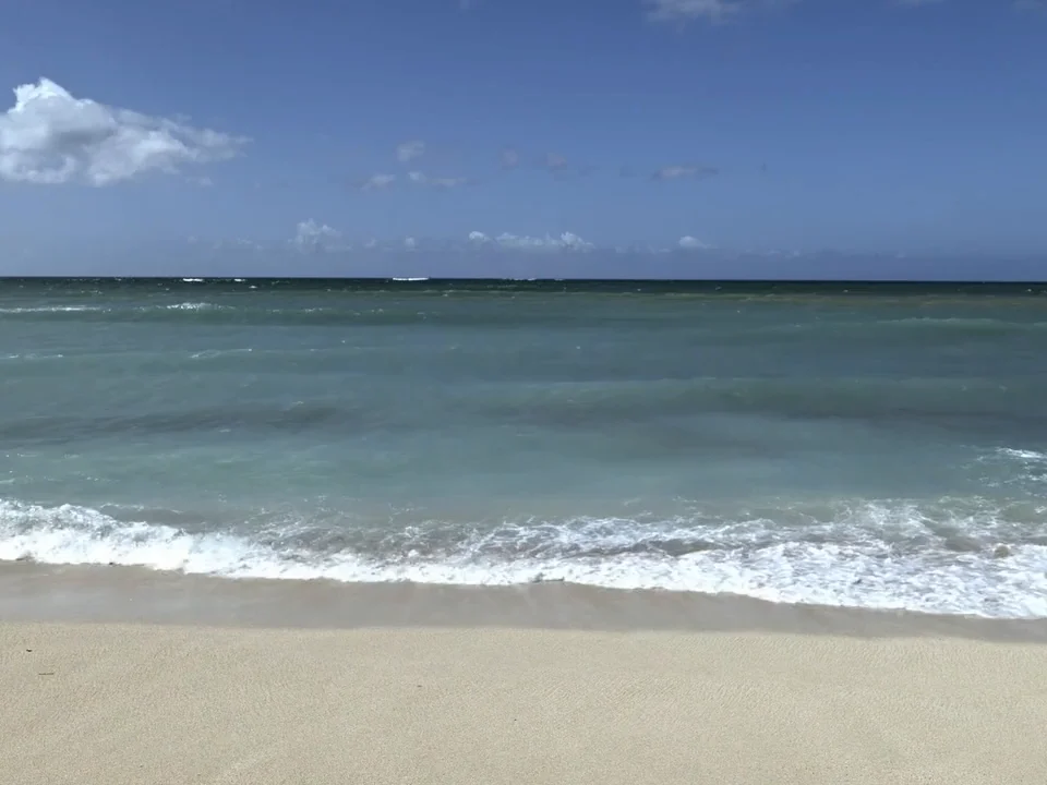 Title Waves Preview Image
